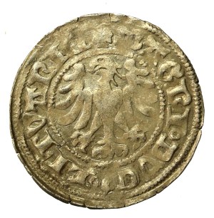 Alexander Jagiellonian, Half-penny, Vilnius-Gothic (622)