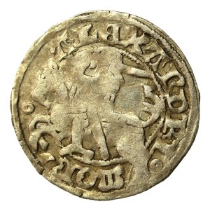 Alexander Jagiellonian, Half-penny, Vilnius-Gothic (623)