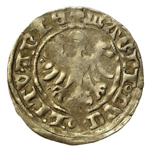 Aleksander Jagiellończyk, Półgrosz, Wilno - gotyk (623)