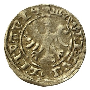 Alexander Jagiellonian, Half-penny, Vilnius-Gothic (623)
