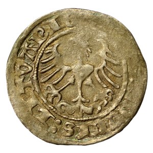 Zygmunt I Stary, Półgrosz 1514, Wilno (288)