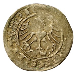 Sigismund I the Old, Half-penny 1514, Vilnius (288)