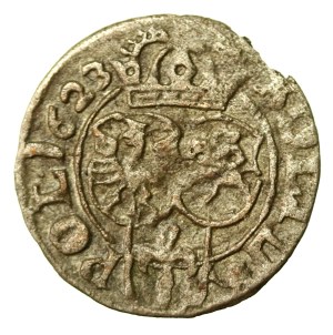 Sigismund III Vasa, 1623 Shellac, Bydgoszcz (289)