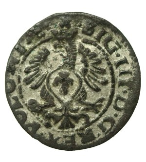 Sigismund III Vasa, 1613 Shellac, Bydgoszcz (295)