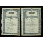 II RP, a set of bonds and receipts. Total of 8 pcs. (864)