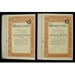 Silesian Mines and Zinc Works, 100 gold 1937, set of 2. (868)