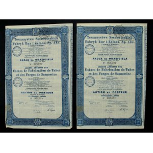 Towarzystwo Sosnowieckich Fabryk Rur i Żelaza S.A., 100 zł 1935. Zestaw 2 szt. (872)