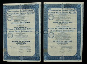Society of Sosnowiec Pipe and Iron Factories S.A., 100 zl 1935. set of 2 pcs. (872)