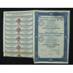Towarzystwo Sosnowieckich Fabryk Rur i Żelaza S.A., 100 zł 1935. Zestaw 2 szt. (872)