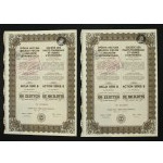 Joint Stock Company of the Blast Furnaces and Ostrowiec Plants, 100 zloty. Total of 2 pcs. (876)