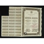 Joint Stock Company of the Blast Furnaces and Ostrowiec Plants, 100 zloty. Total of 2 pcs. (876)
