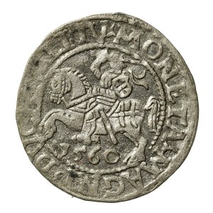 Zygmunt II August, Półgrosz 1560, Wilno - L/LITV (701)