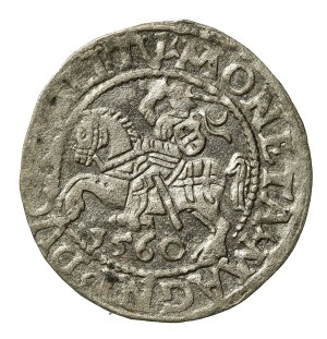 Sigismund II Augustus, Half-penny 1560, Vilnius - L/LITV (701)