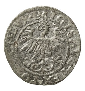 Sigismund II Augustus, Half-penny 1560, Vilnius - L/LITV (701)