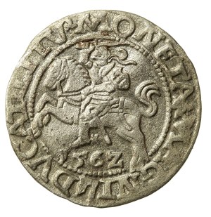Sigismund II Augustus, Half-penny 1562 Vilnius - L/LITV. Tail up (702)