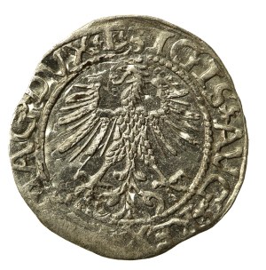 Sigismund II Augustus, Half-penny 1561, Vilnius - LI/LITVA (704)