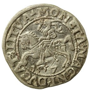 Sigismund II Augustus, Half-penny 1557, Vilnius - LI/LITVA (705)