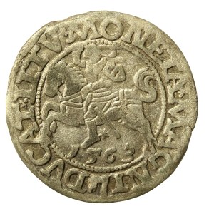 Zygmunt II August, Półgrosz 1563, Wilno - 20 Pogoń, Topór, MAG DUX L/LITV (706)