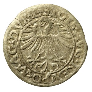 Zygmunt II August, Półgrosz 1563, Wilno - 20 Pogoń, Topór, MAG DUX L/LITV (706)