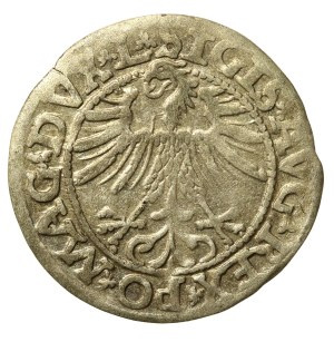 Sigismund II Augustus, Half-grosz 1563, Vilnius - 20 Pogon, Axe, MAG DUX L/LITV (706)