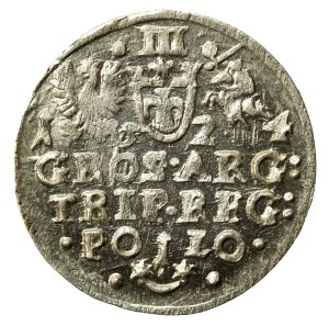 Sigismund III Vasa, Trojak 1624, Krakow (710)