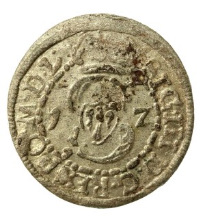 Sigismund III Vasa, 1617 Shellac, Vilnius (732)