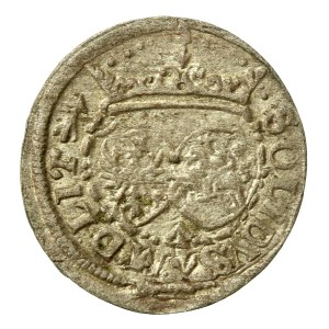 Zygmunt III Waza, Szeląg 1617, Wilno (732)