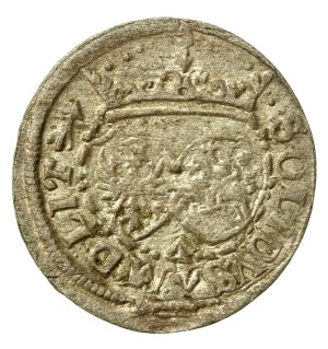 Sigismund III Vasa, 1617 Shellac, Vilnius (732)