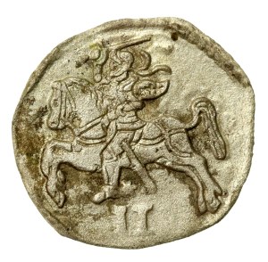 Sigismund II Augustus, Dwudenar 1570, Vilnius (735)