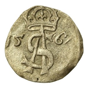 Zygmunt II August, Dwudenar 1567, Wilno (742)