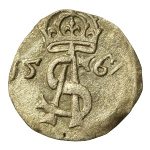 Sigismund II Augustus, Dwudenar 1567, Vilnius (742)