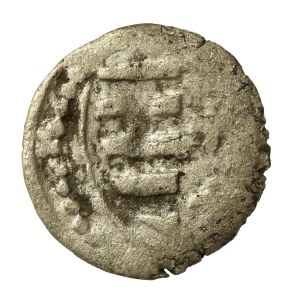 Jadwiga i Władysław Jagiełło, Denar, Wschowa (743)