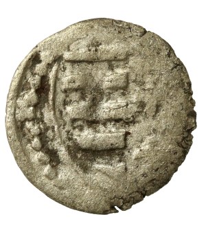 Jadwiga and Władysław Jagiełło, Denar, Wschowa (743)
