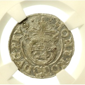 Prusy Książęce, Jerzy Wilhelm, Półtorak 1624, Królewiec (772)