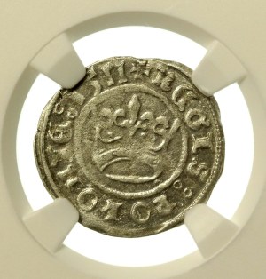 Sigismund I the Old, Half-penny 1511, Cracow (774)