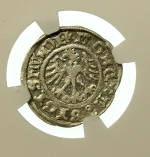 Sigismund I the Old, Half-penny 1511, Cracow (774)