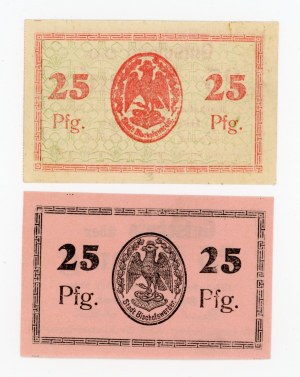 Biskupiec/Bischowswerder, 25 1920 fenig. two varieties. 2 pieces total. (395)