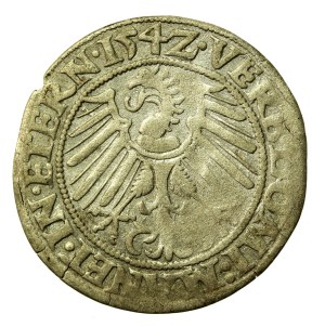 Silesia, Ks. Legnicko-Brzesko-Wołowskie, Frederick, penny 1542, Brzeg (560)