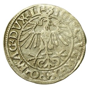 Zygmunt II August, Półgrosz 1550, Wilno - LI / LITVA (567)