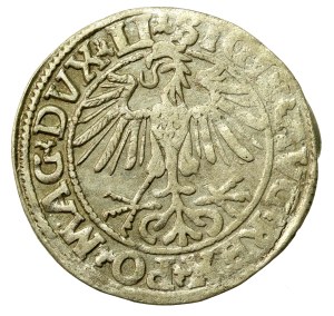 Sigismund II Augustus, Half-penny 1550, Vilnius - LI / LITVA (567)