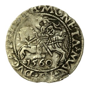 Zygmunt II August, Półgrosz 1560, Wilno - DVX LI/LITVA - rozeta - rzadki (572)