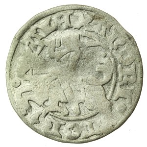 Aleksander Jagiellończyk, Półgrosz, Wilno - gotyk (1221)