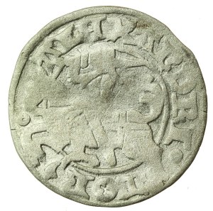 Alexander Jagiellonian, Half-penny, Vilnius-Gothic (1221)