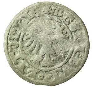 Alexander Jagiellonian, Half-penny, Vilnius-Gothic (1221)