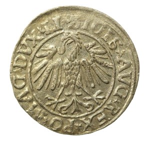 Sigismund II Augustus, Half-penny 1547, Vilnius - LI/LITVA (493)