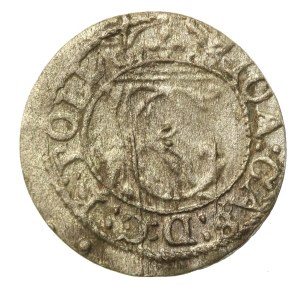 John II Casimir, Shelah 1652, Vilnius (496)