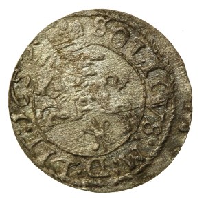 John II Casimir, Shelah 1652, Vilnius (496)
