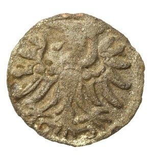 Sigismund II Augustus, Denarius 1554, Gdansk (498)