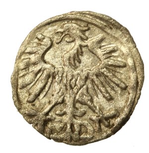 Sigismund II Augustus, Denarius 1556, Vilnius (499)
