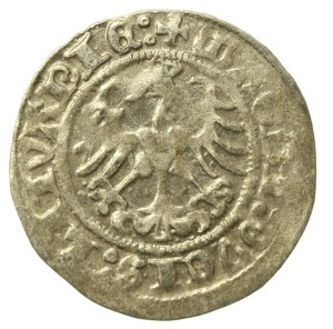 Sigismund I the Old, Half-penny 1513, Vilnius - full date (671)